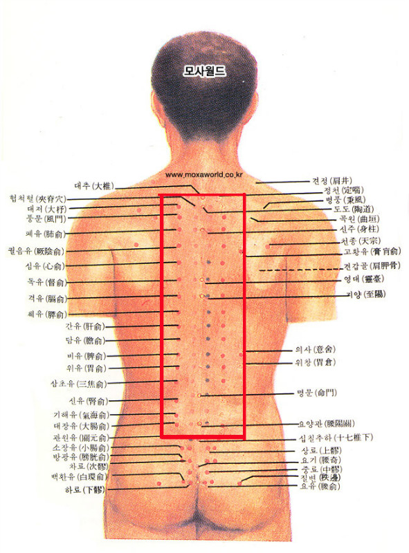 制炙人口